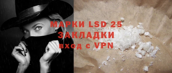 PSILOCYBIN Аркадак