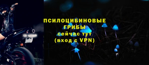 PSILOCYBIN Аркадак