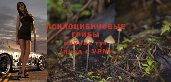 а пвп мука Арсеньев