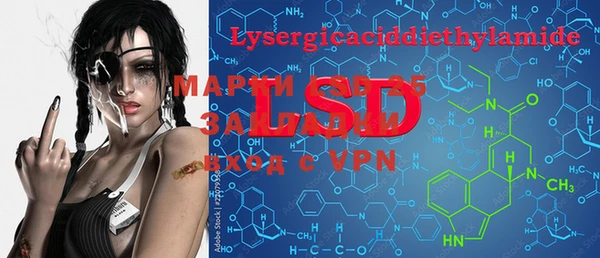 PSILOCYBIN Аркадак
