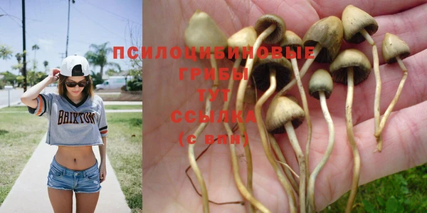 а пвп мука Арсеньев