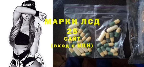 PSILOCYBIN Аркадак