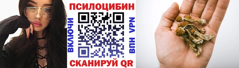 цена   Беслан  mega tor  Галлюциногенные грибы мухоморы 